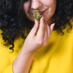 The 9 Weed Friendly Countries for Cannabis Tourism