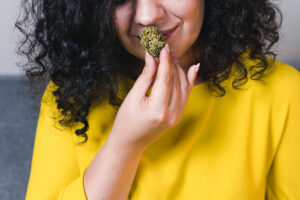 The 9 Weed Friendly Countries for Cannabis Tourism