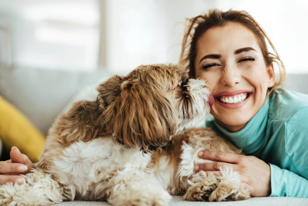 How can you ensure your dog stays happy and healthy?